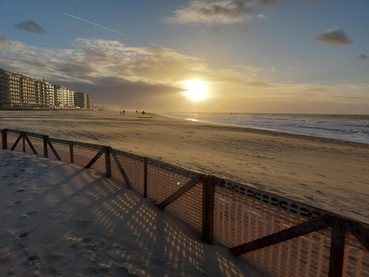 Appartement met zeezicht en verwarmd zwembad Ostende Exterior foto